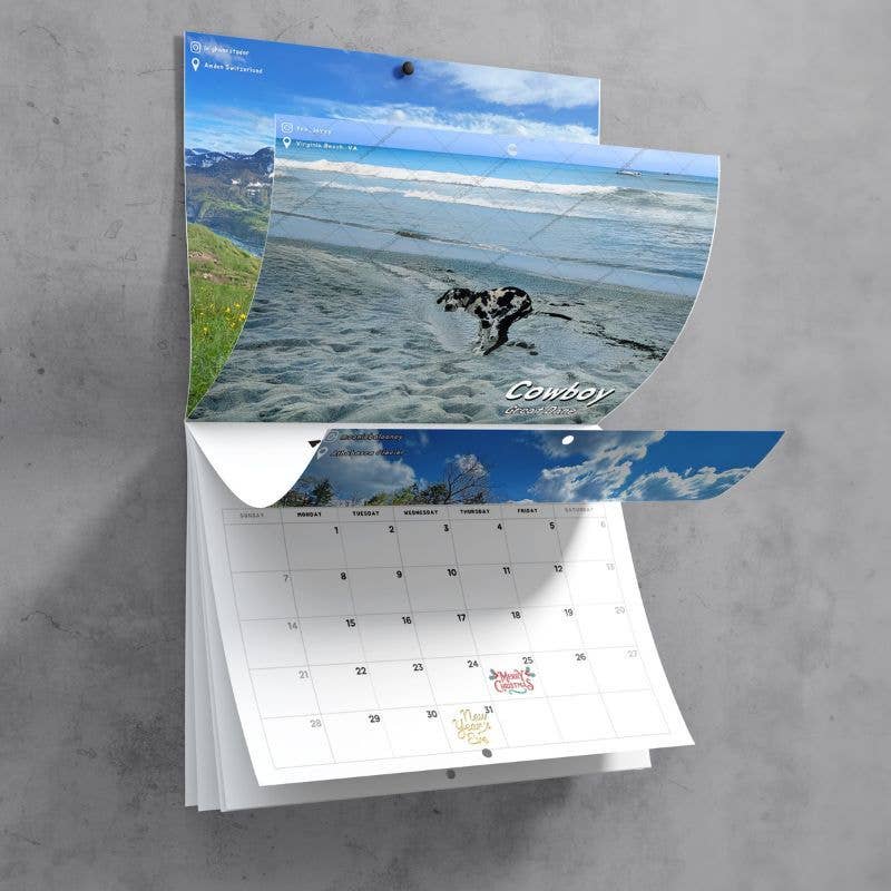 Dogs Pooping in Beautiful Places™ 2025 Calendar!