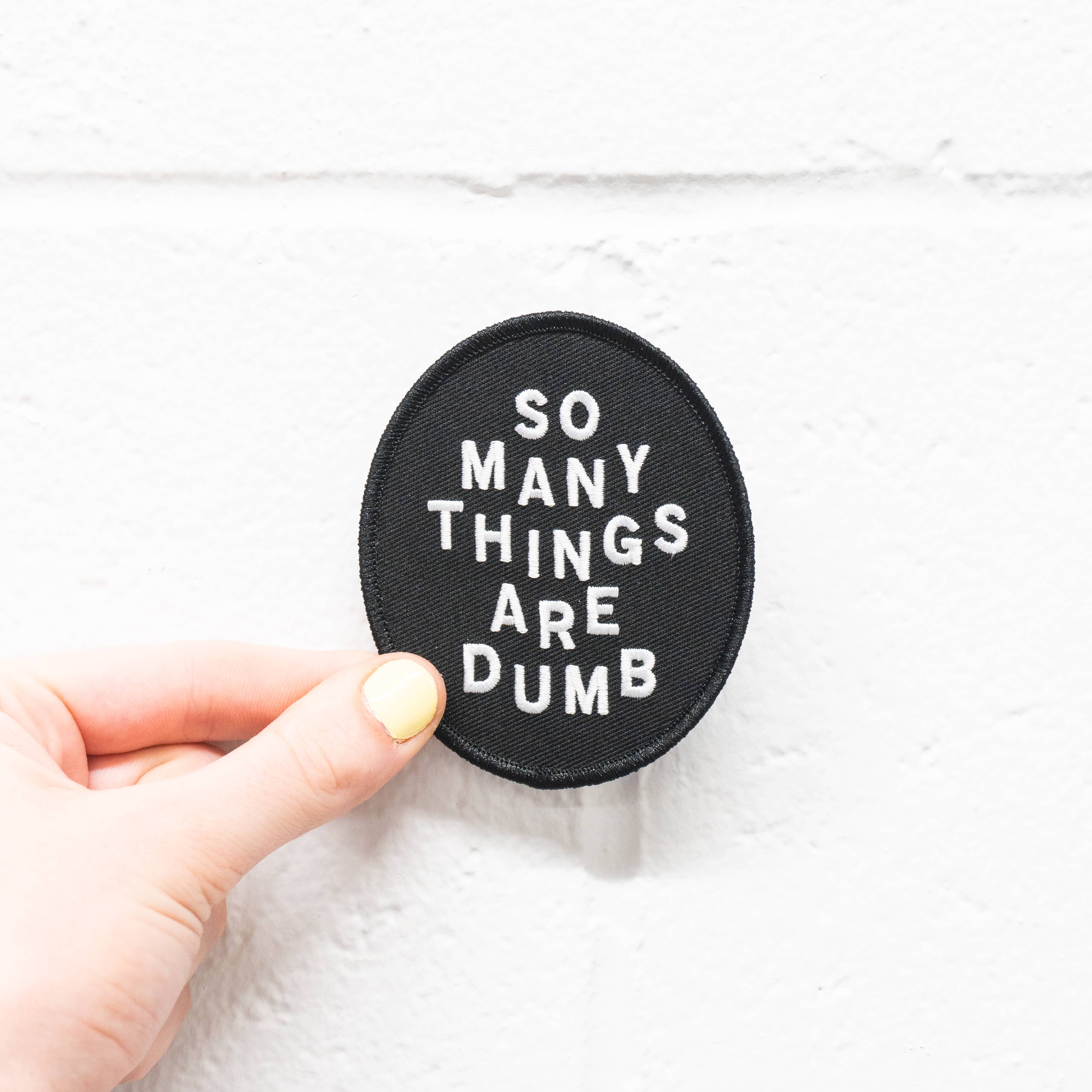 "So Many Things Are Dumb" Patch