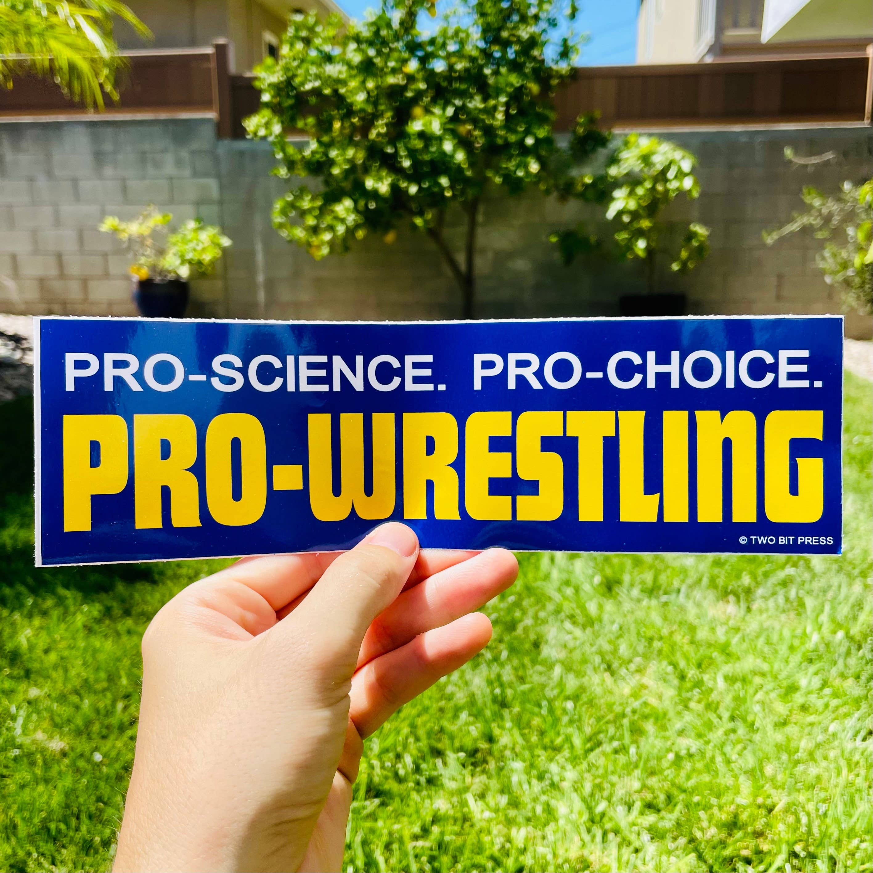 Pro-Choice Pro-Wrestling Bumper Sticker - Funny 90s Style