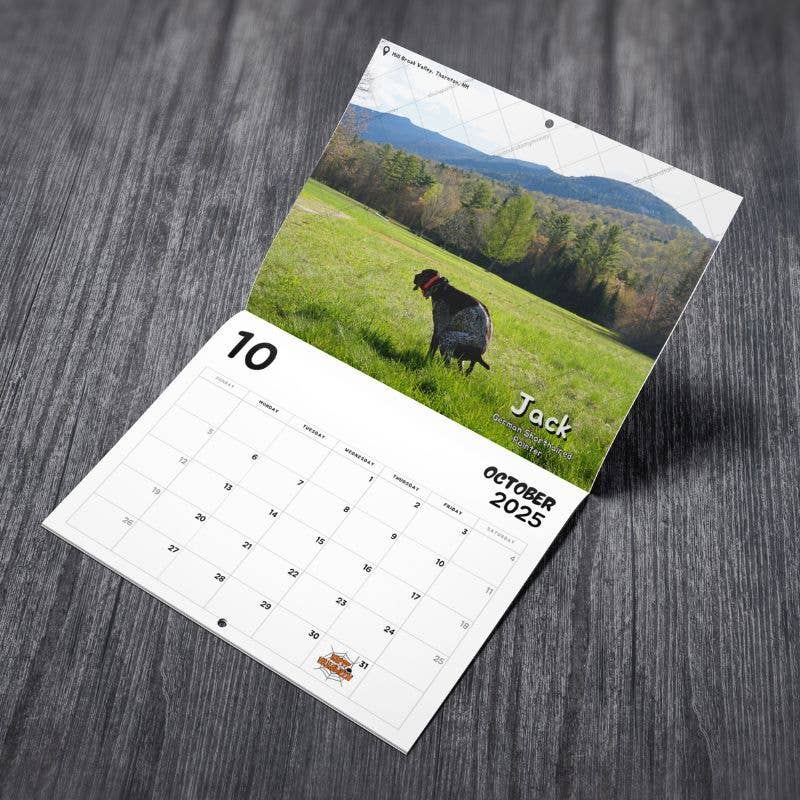 Dogs Pooping in Beautiful Places™ 2025 Calendar!