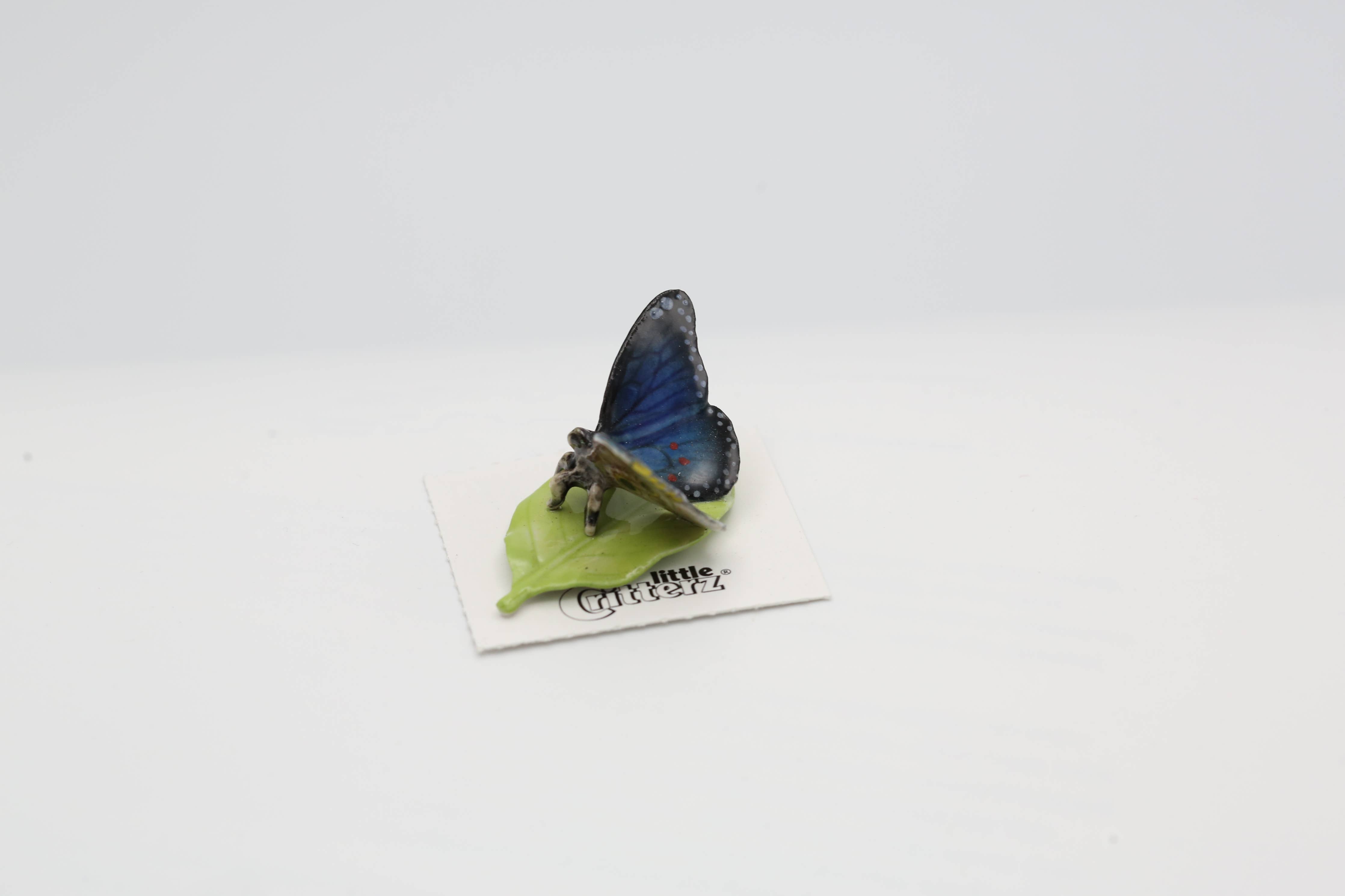 Venus Blue Morpho Butterfly Porcelain Miniature