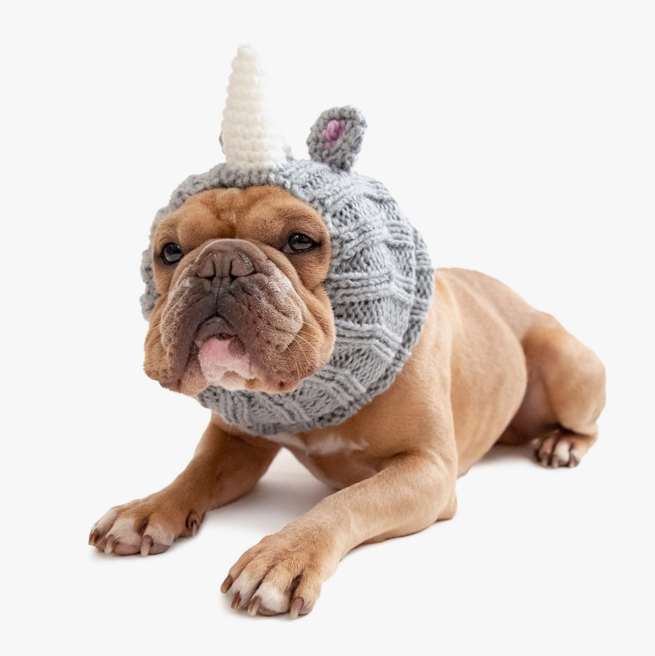 Rhino Pet Snood!