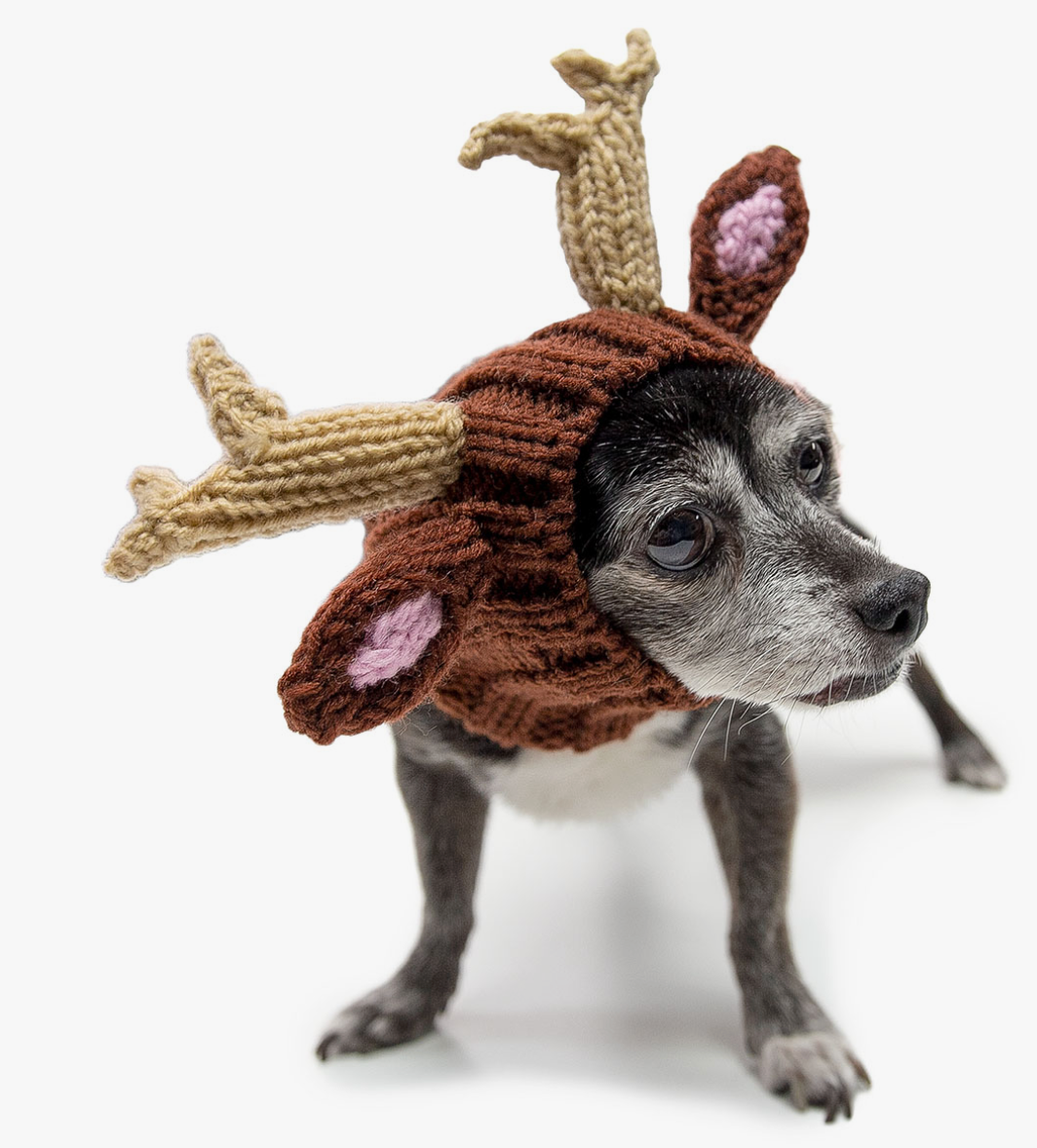 Reindeer Zoo Snood