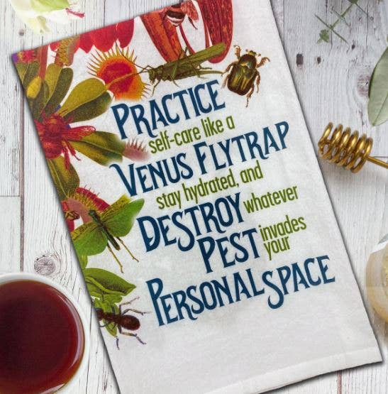 Practice Self Care Like A Venus Flytrap